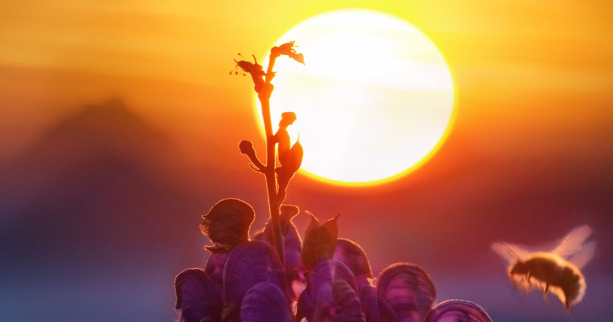 Cosmico - Harnessing Abundant Renewable Power