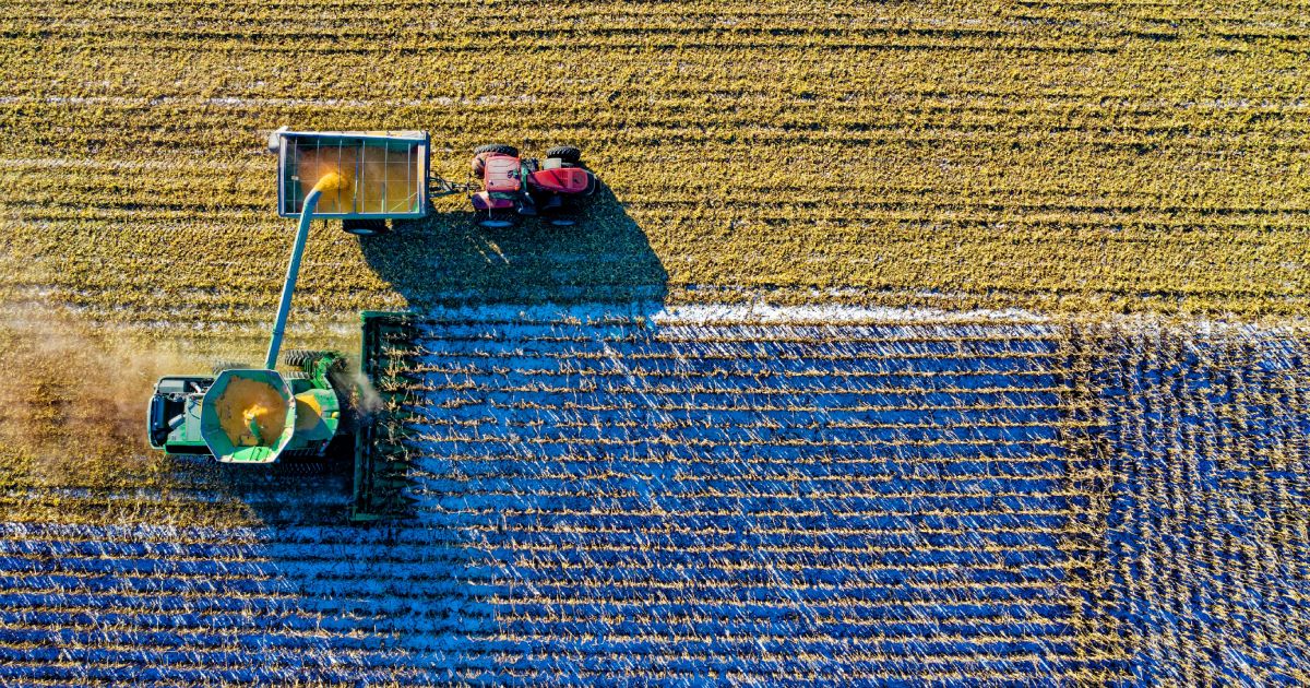 Cosmico - Sustainable Agriculture and Bio-Based Materials