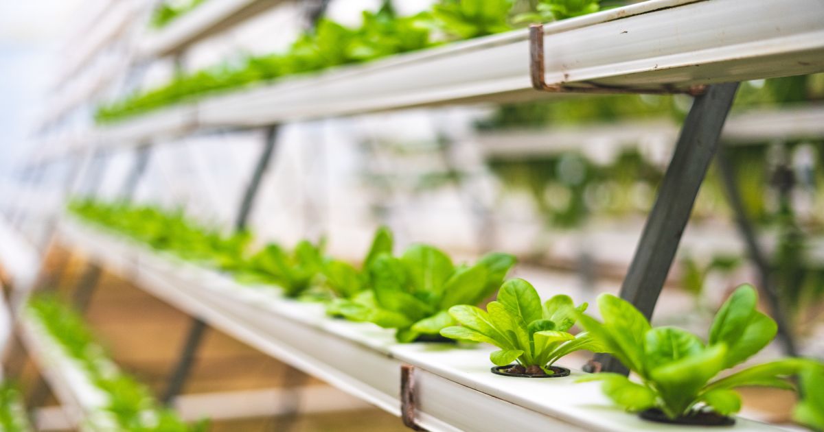 Cosmico - Vertical Farming and Controlled Environment Agriculture: Farming in Urban Spaces