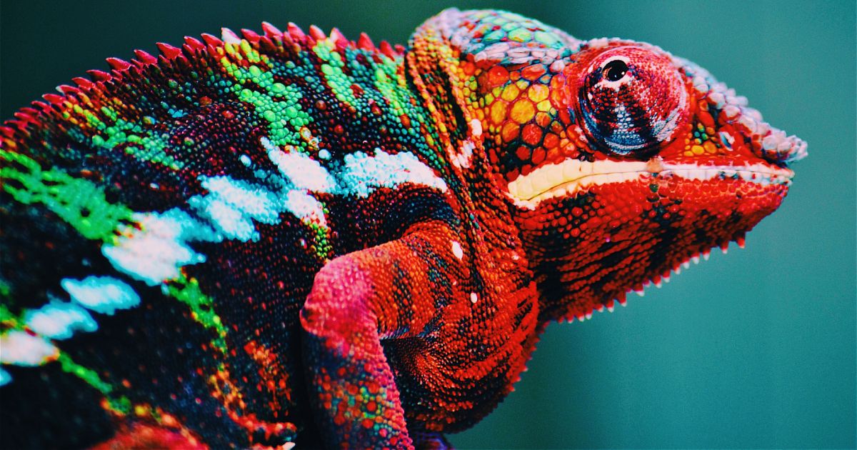 Cosmico - Sales Strategies Adaptability and Resilience