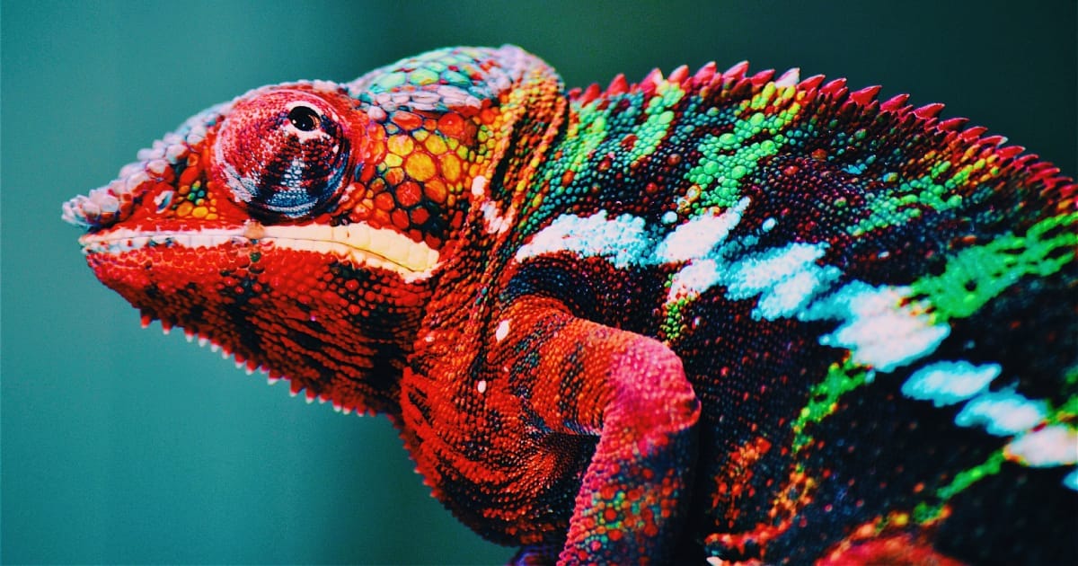 Cosmico - Find Customer Avatar - Stay Adaptable: Refine Over Time