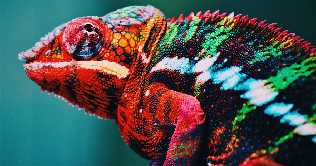 Cosmico - Discipline in Business - Building Resilience and Adaptability