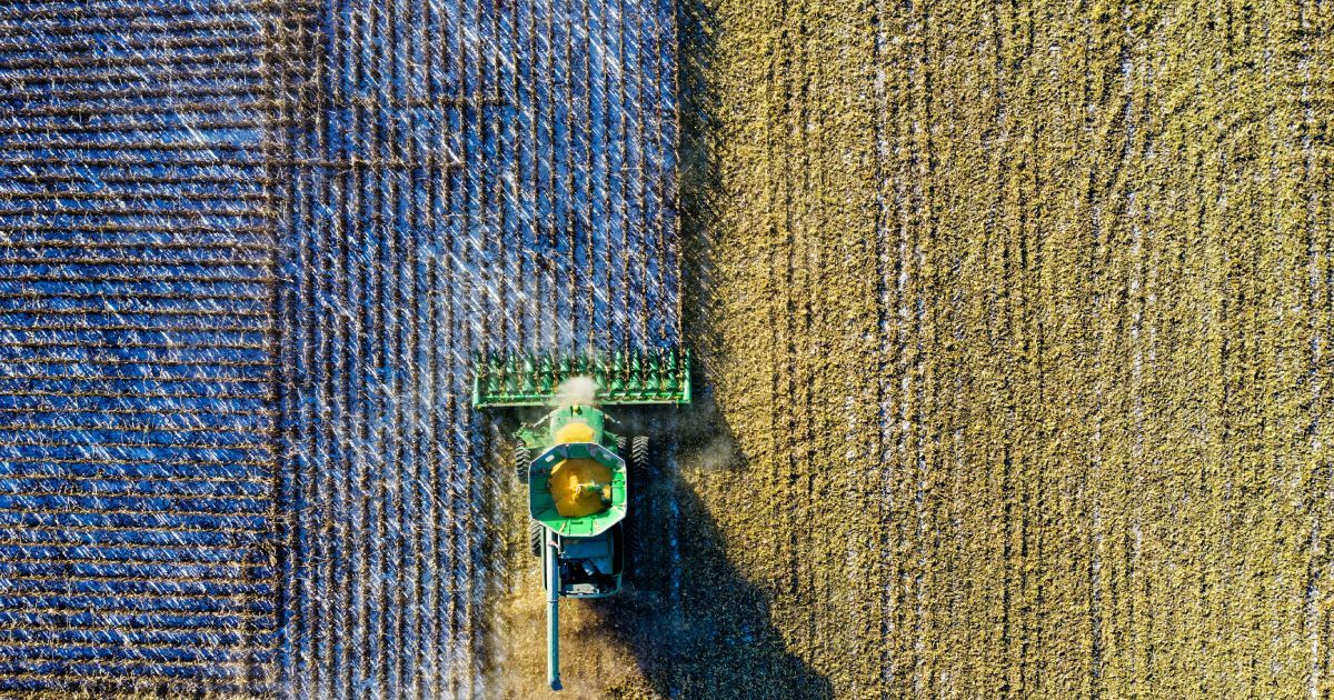 Cosmico - The Impact of Internet of Things (IoT) on the Economy