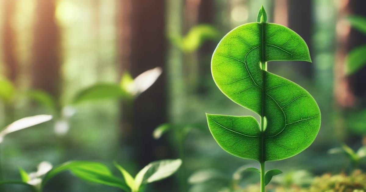 Cosmico - 10 Key Steps for Business Growth & Expansion