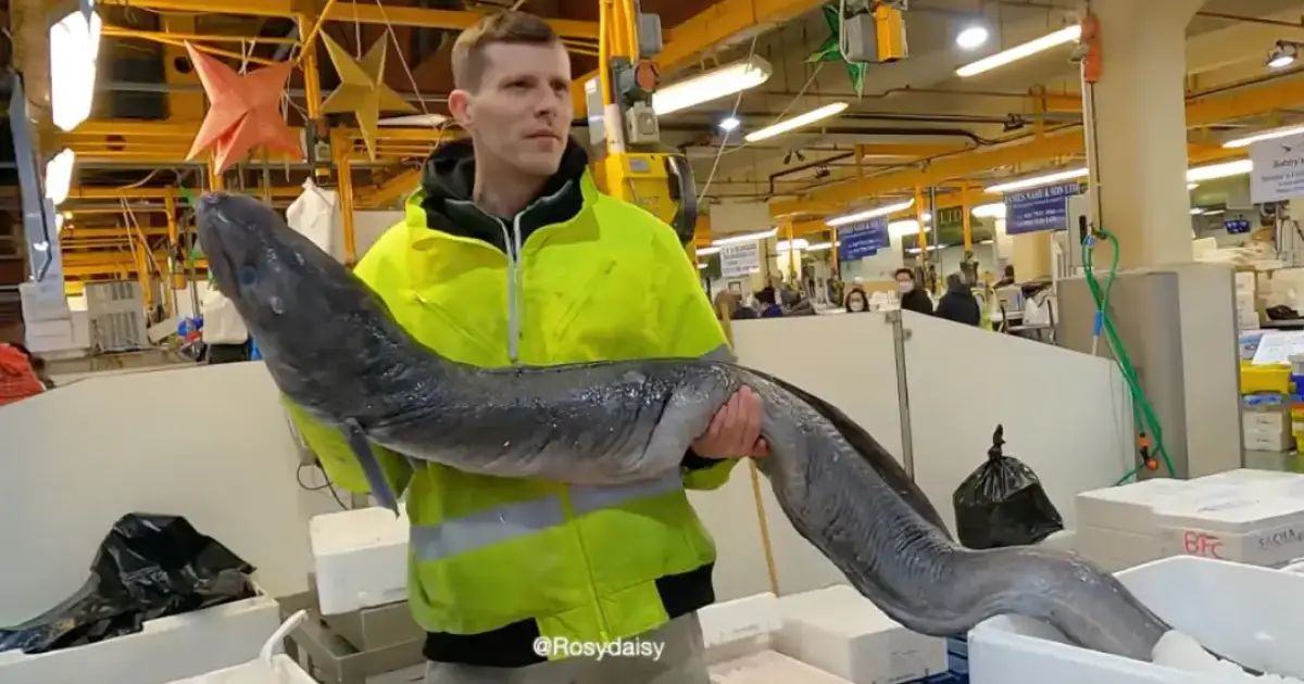 Cosmico - London’s 850-Year-Old Food Markets Closing