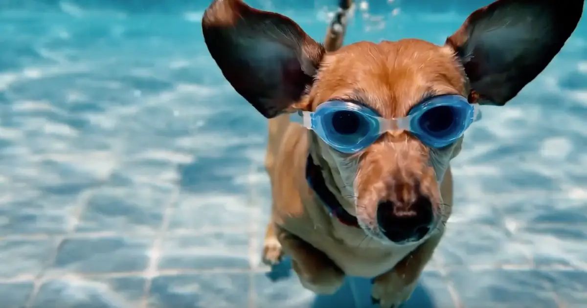 Cosmico - Google Launches Veo 2, Beats Sora in AI Video