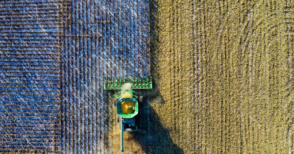 Cosmico - The Impact of Internet of Things (IoT) on the Economy