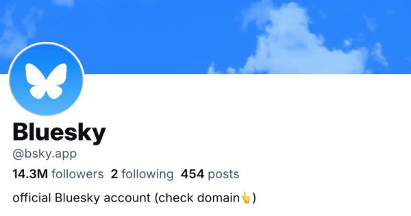 Cosmico - How Bluesky’s Verification Differs from X’s