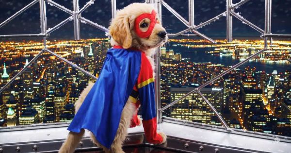 Cosmico - OpenAI Launches Sora: AI Video Generation