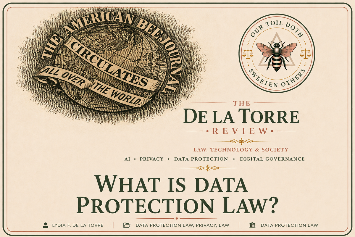 What is data protection law?