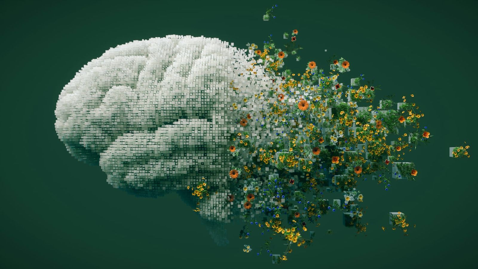 What Runs Beneath Human Change?