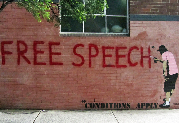 It's not that we lack free speech it's that there's too much of it
