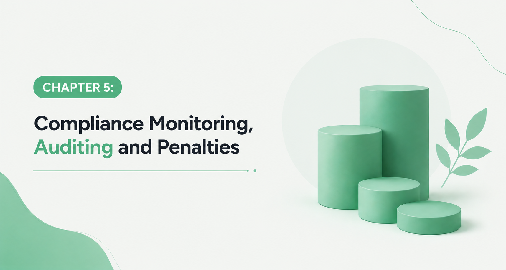 CHAPTER 5: Compliance Monitoring, Auditing and Penalties