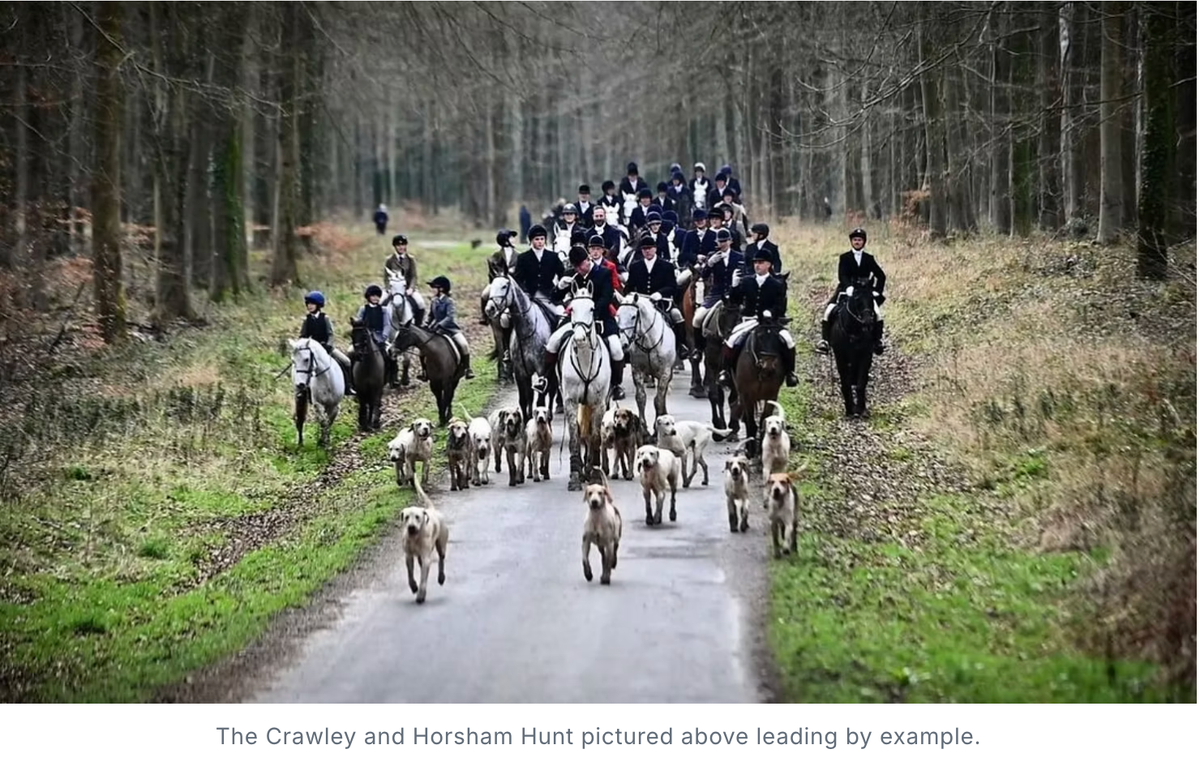 Sabs Are Now Confusing Themselves with their Campaigns of Relentless Disinformation