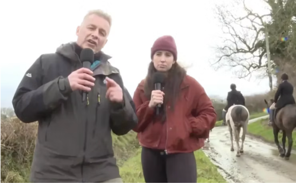 A ‘Near Chris’: Packham’s Chance Encounter Beggars Belief