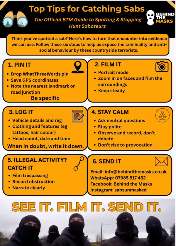 Top Tips for Catching Sabs