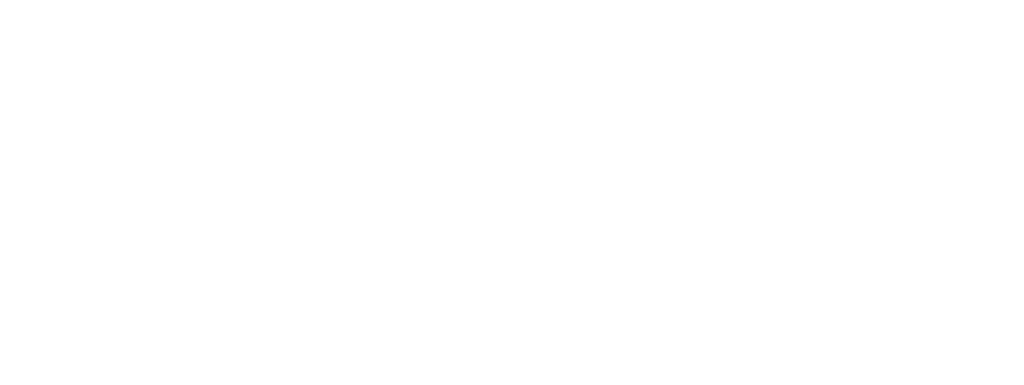 Early Bird Journal