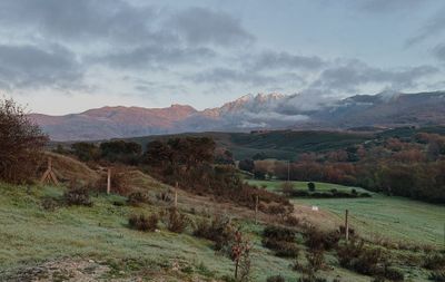 I won't do another Vipassana (but maybe you should)