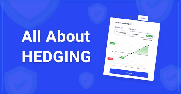 What is forex hedging & why do you need it?