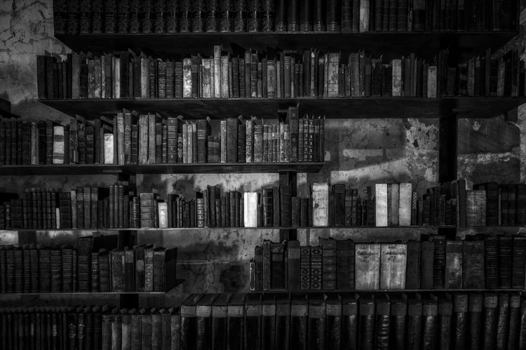 Old, dusty library books on shelfs against an old, crumbly wall.