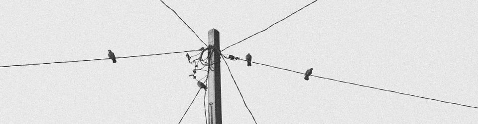 Contact