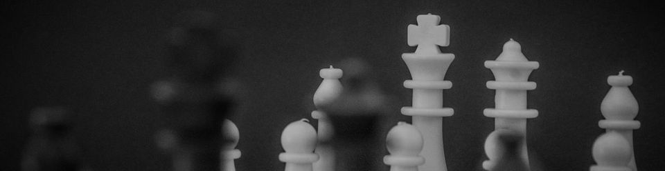 Stewardship & Licensing