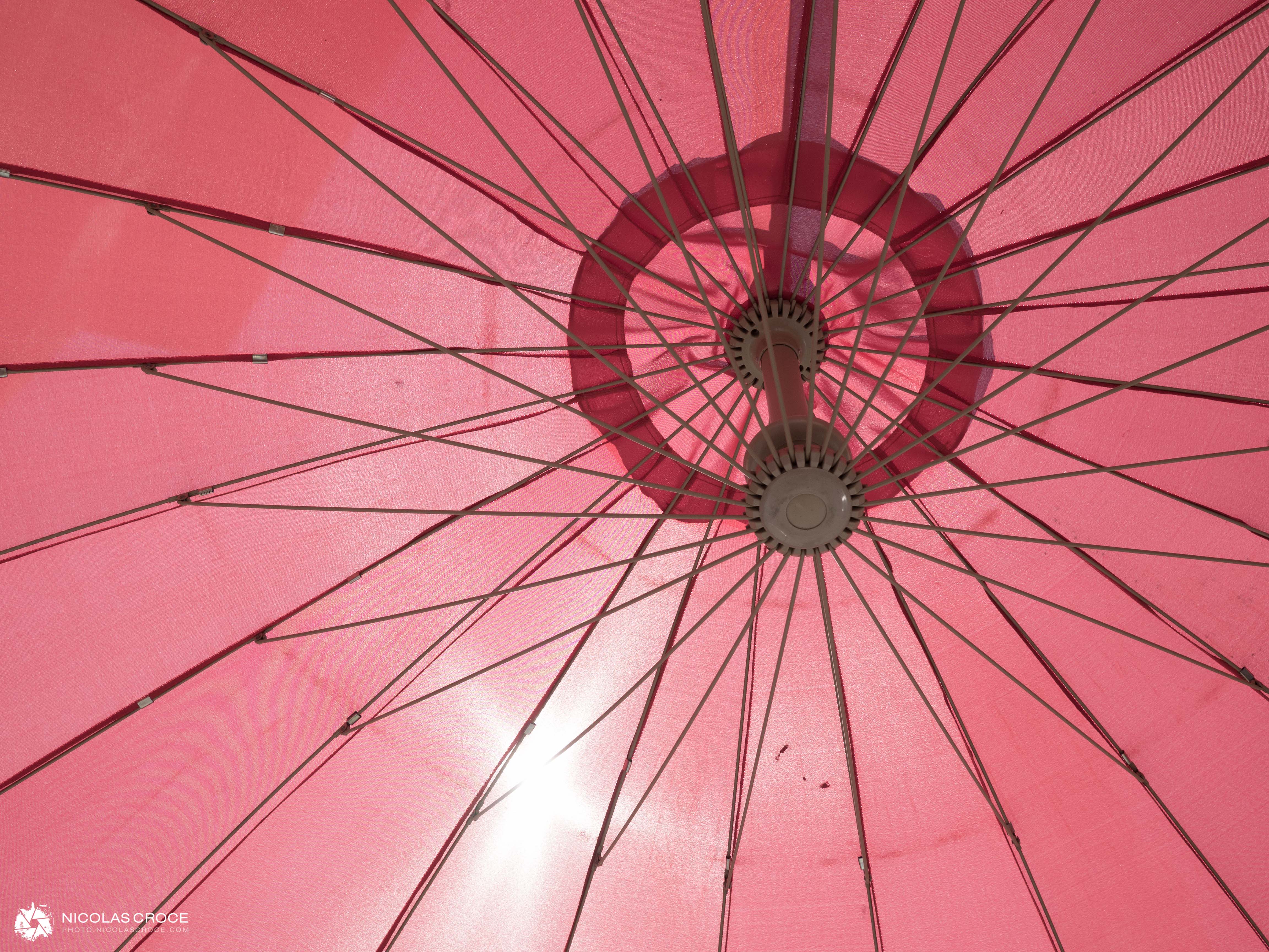 Parasol