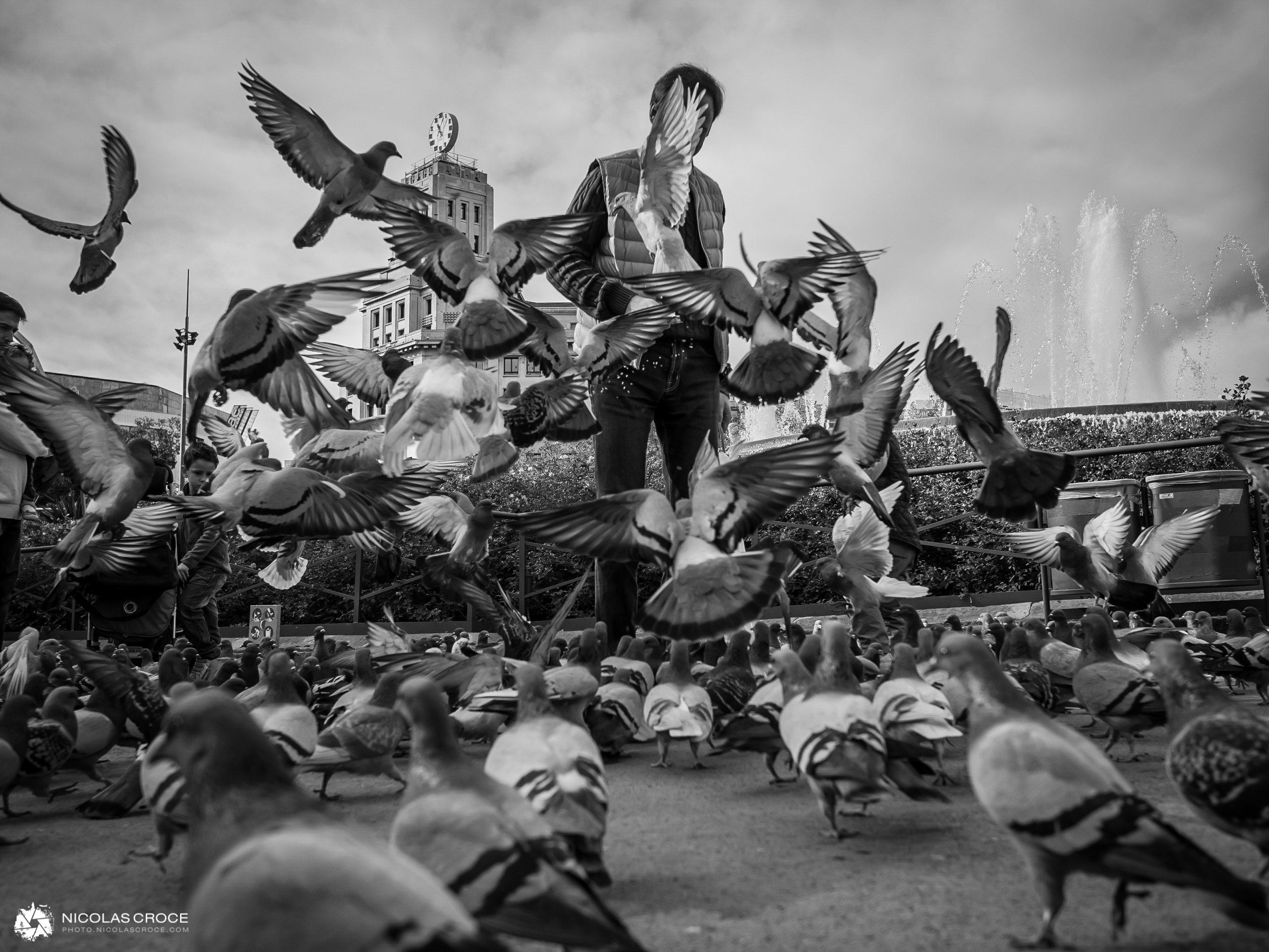 A man feeding pigeons - Plaça de Catalunya, Barcelona