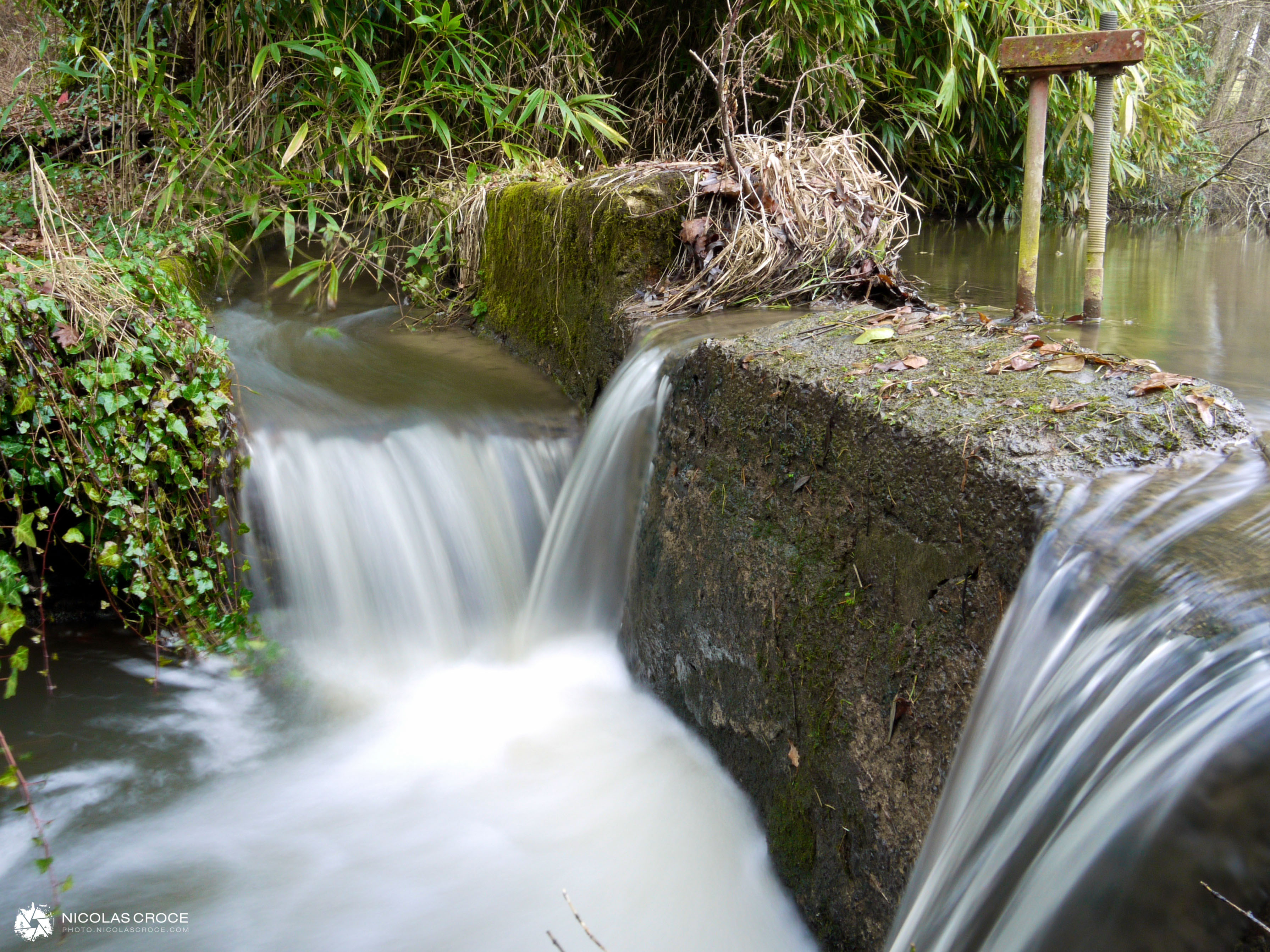 Cascade