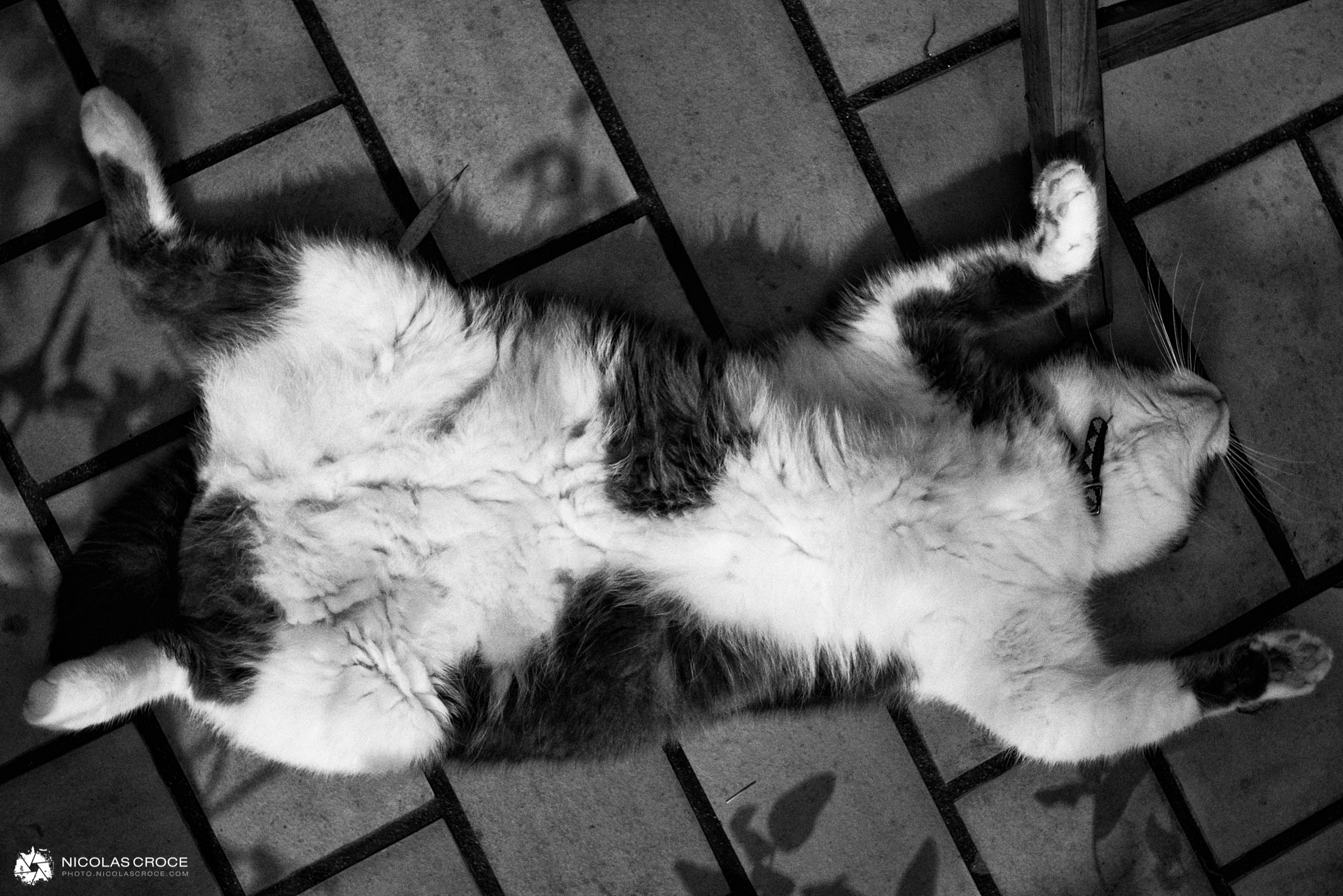 00008_blog_photo