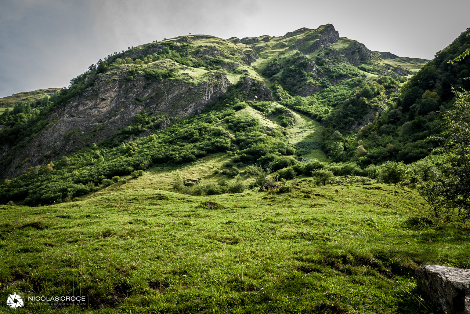 _1020637-portfolio@2x