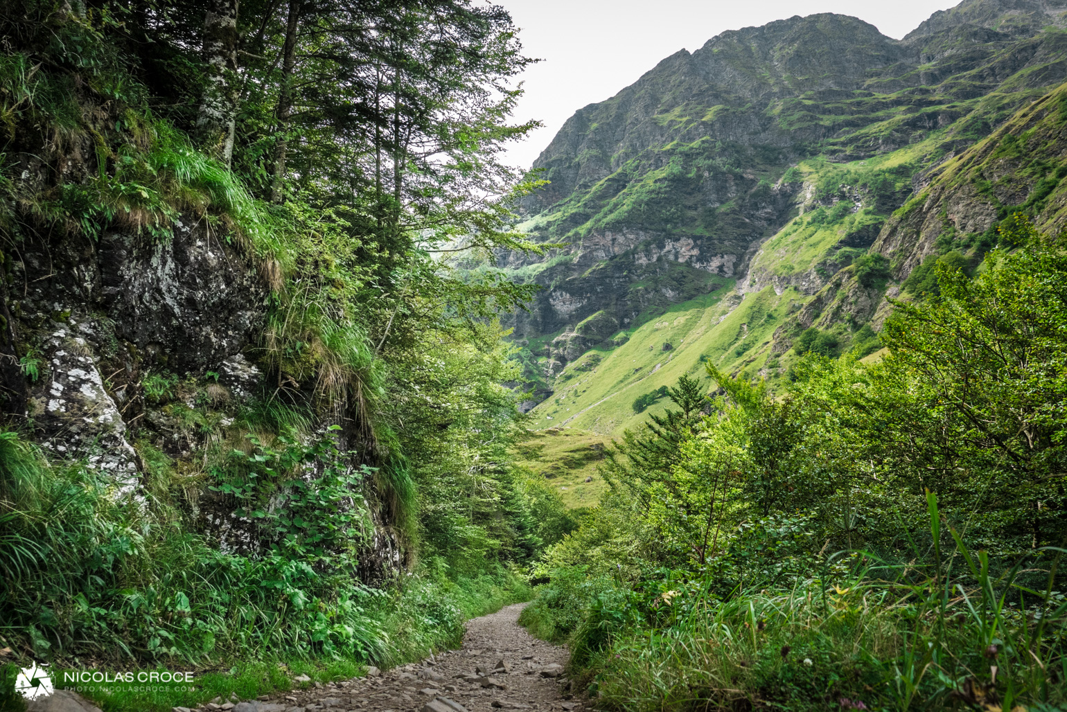 _1020668-portfolio@2x