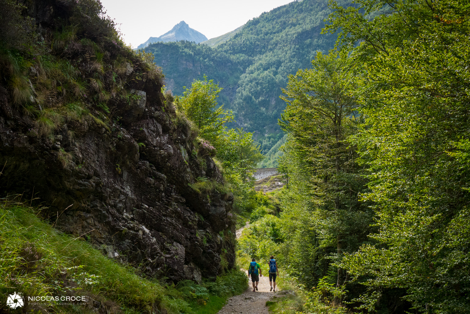 _1020670-portfolio@2x