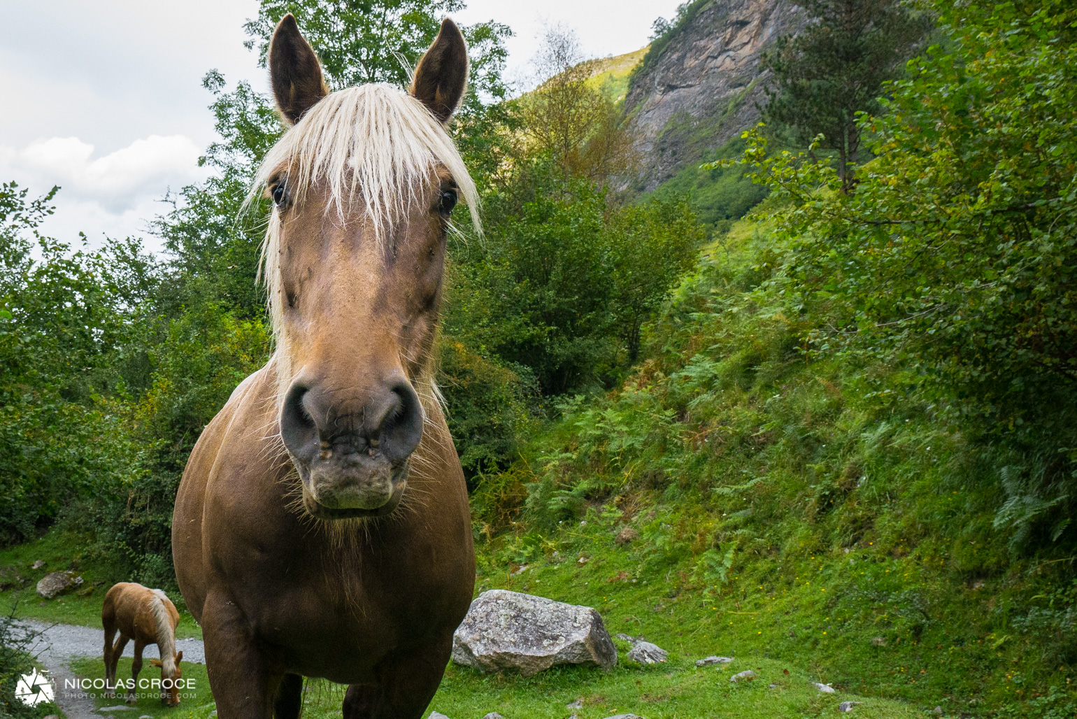 _1020733-portfolio@2x