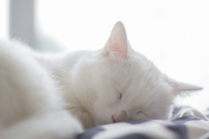 Sleeping