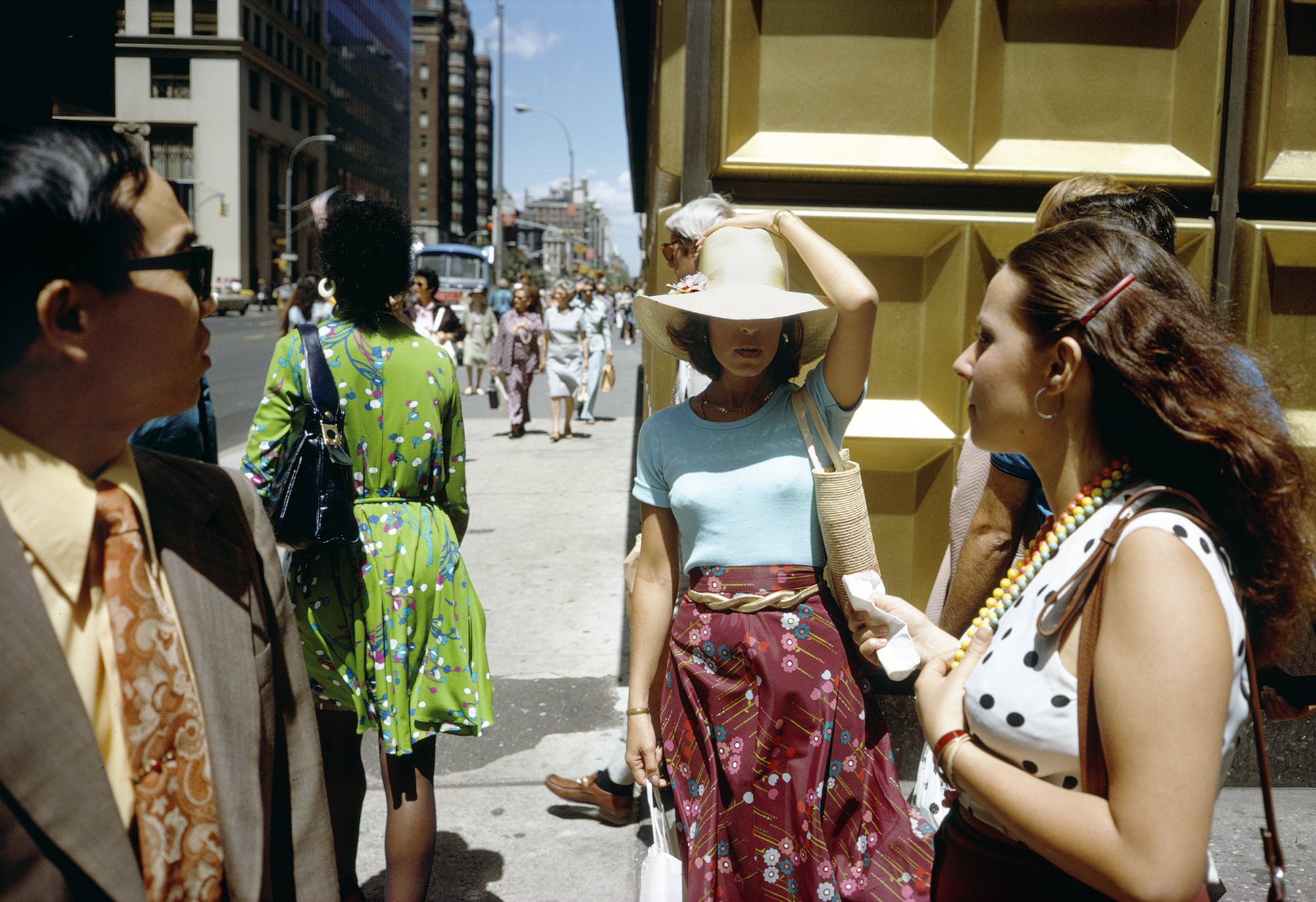 Joel Meyerowitz — Wildflowers
