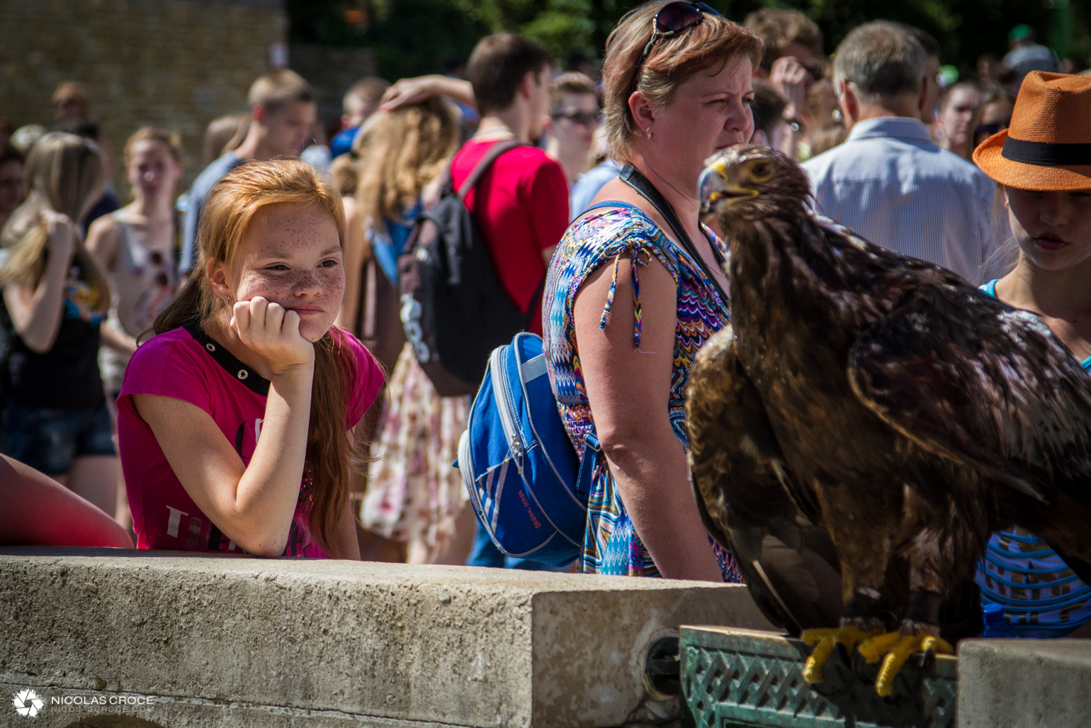 Aigle