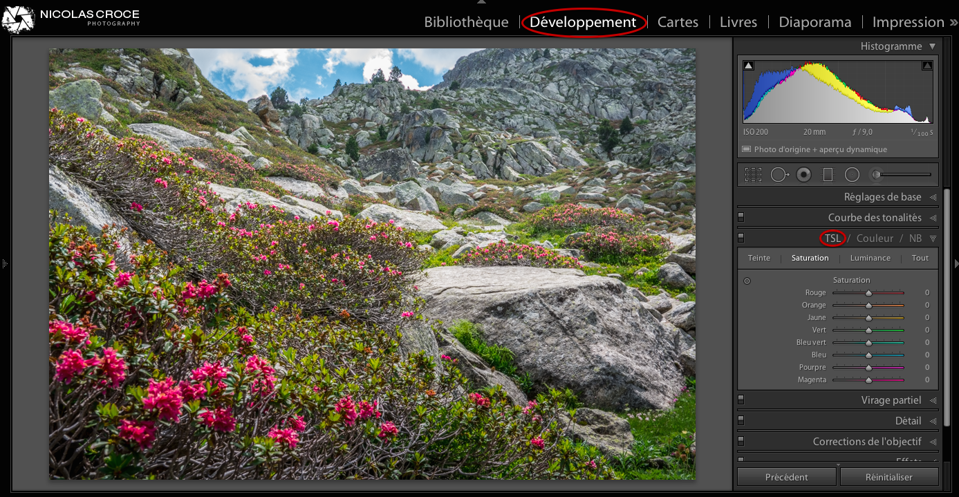 Teinte Saturation Luminance Lightroom