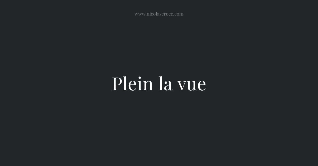 Plein la vue