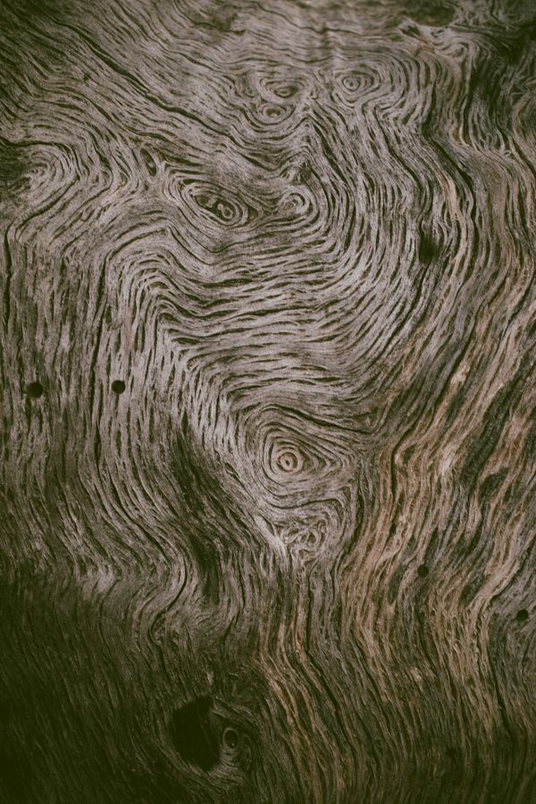 La plupart des gens ne voient rien… Regardez plus intensément