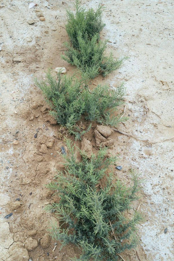 Prenez des photos aussi souvent que possible