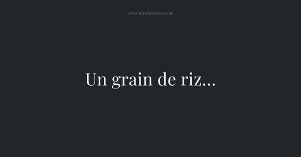 Un grain de riz…