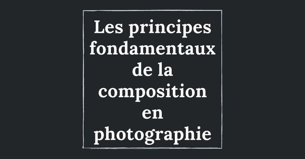 Les principes fondamentaux de la composition d'une photo