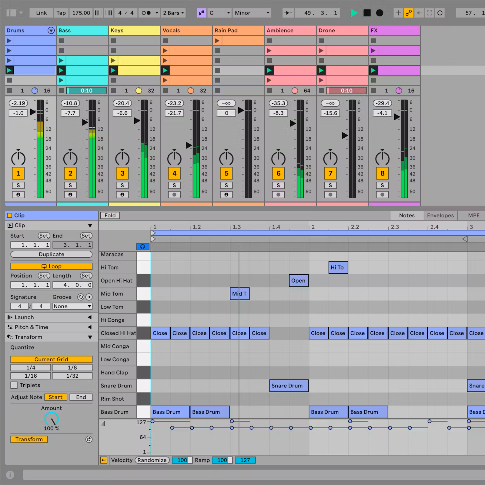 Screenshot of Ableton Live 12 Lite interface – beginner-friendly DAW for live performance and electronic music production