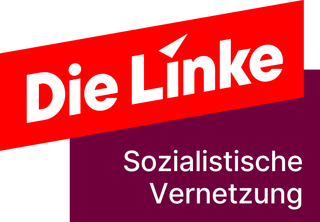 Sozialistische Vernetzung