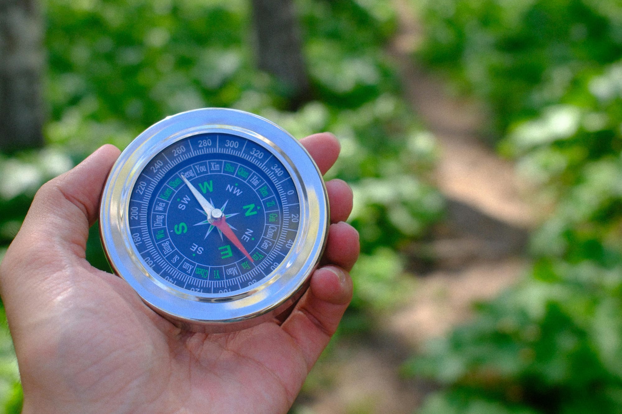Someone holding a compass out in front of them against a forest backdrop.