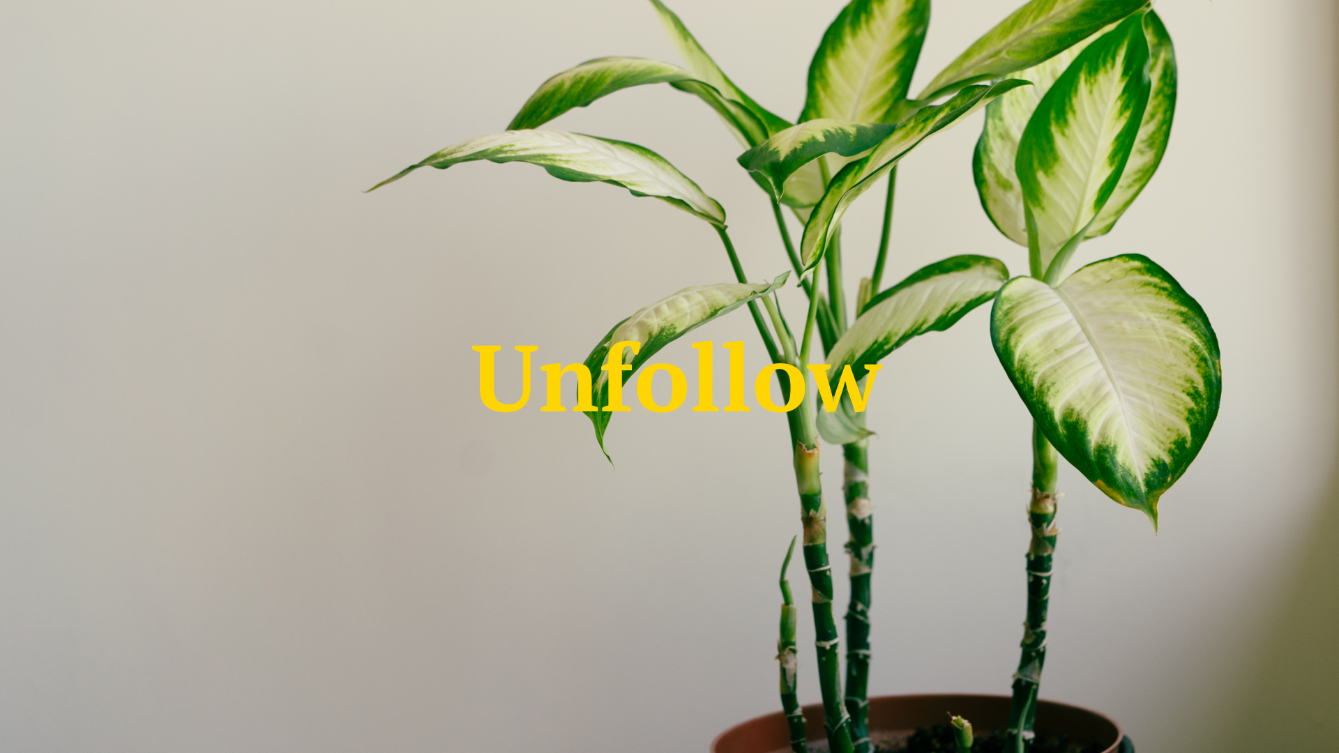 37 - Unfollow