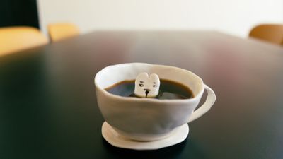 28 - Eleonor Boström  - Dog Bowl