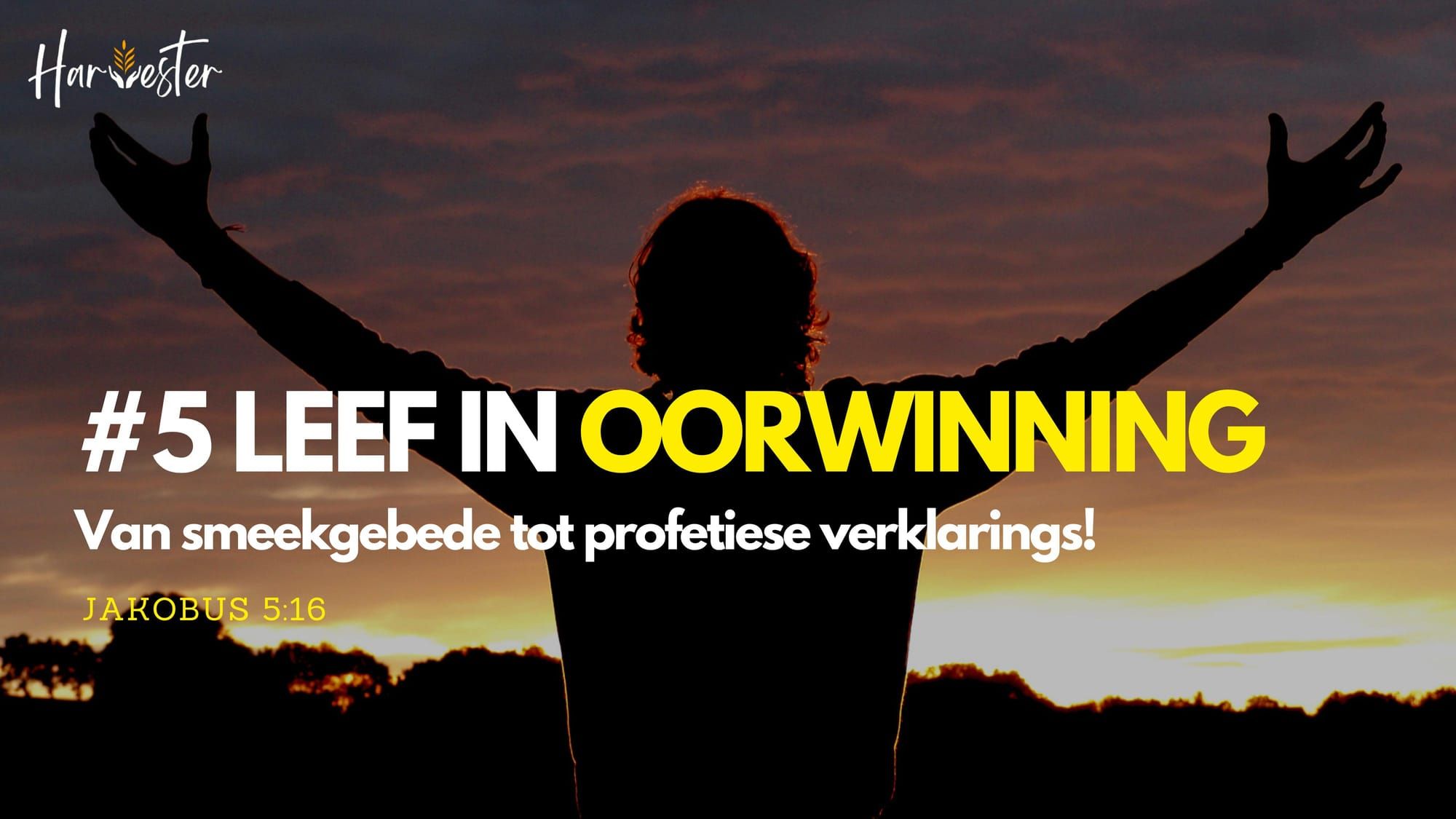 Van Smeekgebede tot Profetiese Verklarings