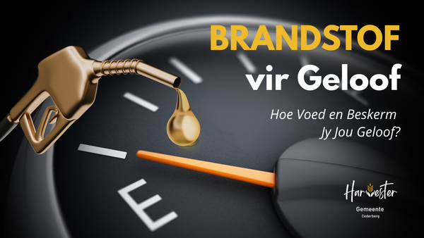 BRANDSTOF VIR GELOOF